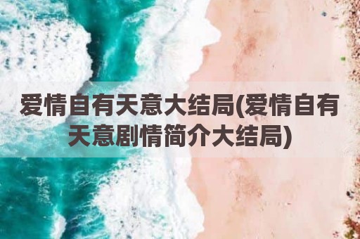 爱情自有天意大结局(爱情自有天意剧情简介大结局)