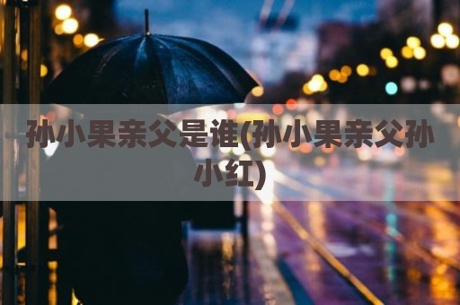 孙小果亲父是谁(孙小果亲父孙小红)