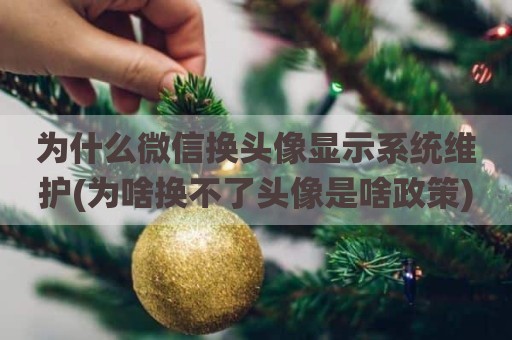 为什么微信换头像显示系统维护(为啥换不了头像是啥政策)