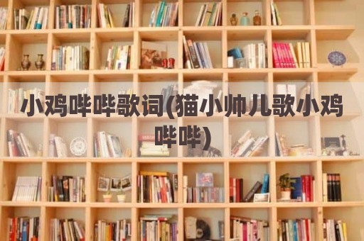 小鸡哔哔歌词(猫小帅儿歌小鸡哔哔)