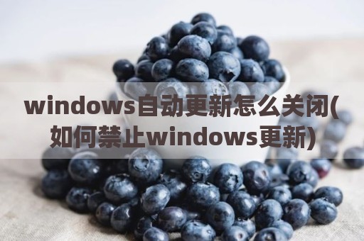 windows自动更新怎么关闭(如何禁止windows更新)