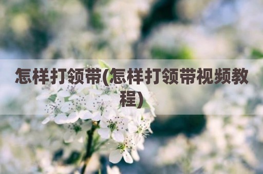 怎样打领带(怎样打领带视频教程)