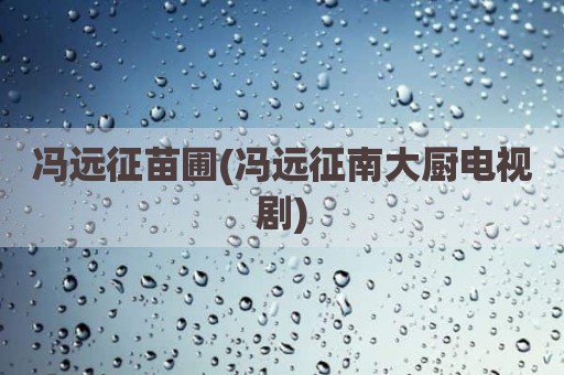 冯远征苗圃(冯远征南大厨电视剧)