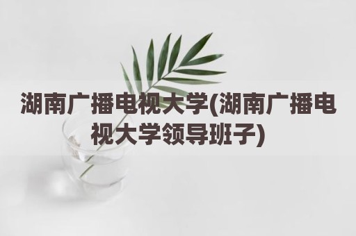 湖南广播电视大学(湖南广播电视大学领导班子)