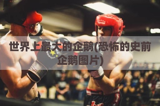 世界上最大的企鹅(恐怖的史前企鹅图片)