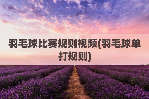羽毛球比赛规则视频(羽毛球单打规则)