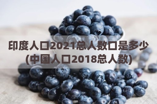 印度人口2021总人数口是多少(中国人口2018总人数)