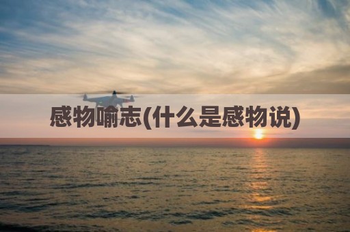 感物喻志(什么是感物说)