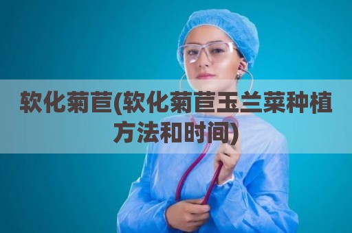软化菊苣(软化菊苣玉兰菜种植方法和时间)