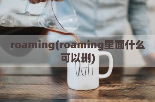 roaming(roaming里面什么可以删)