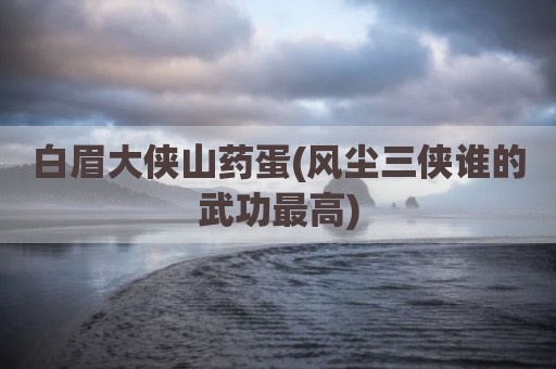 白眉大侠山药蛋(风尘三侠谁的武功最高)