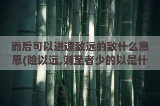 而后可以进速致远的致什么意思(险以远,则至者少的以是什么意思)