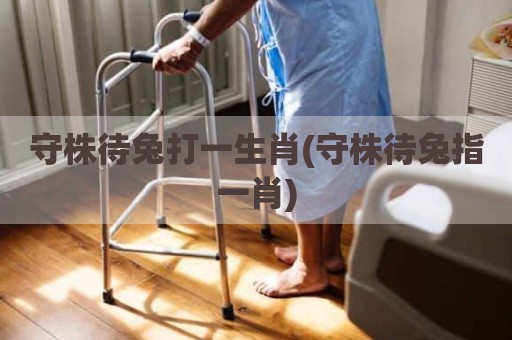 守株待兔打一生肖(守株待兔指一肖)