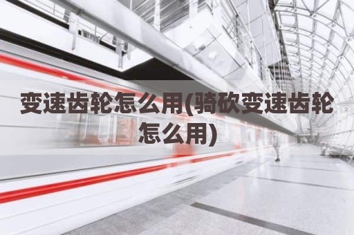 变速齿轮怎么用(骑砍变速齿轮怎么用)