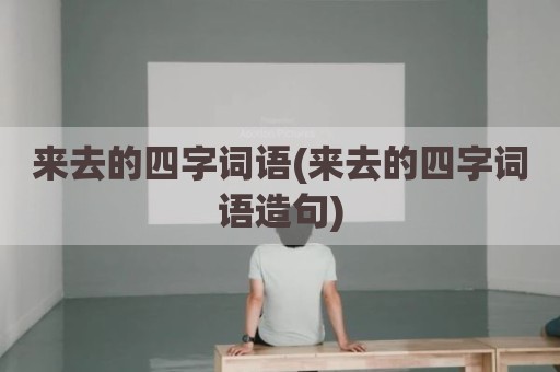 来去的四字词语(来去的四字词语造句)
