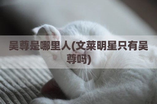 吴尊是哪里人(文莱明星只有吴尊吗)