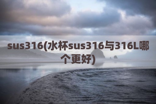 sus316(水杯sus316与316L哪个更好)