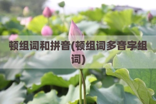 顿组词和拼音(顿组词多音字组词)