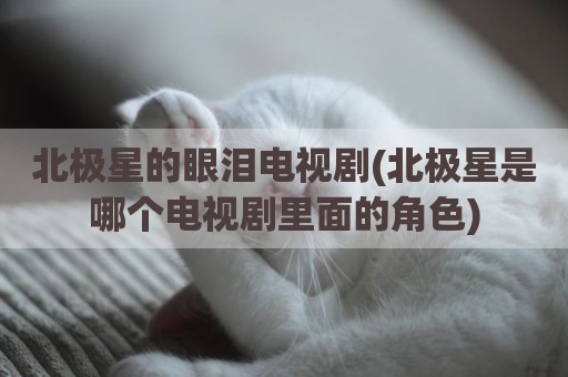 北极星的眼泪电视剧(北极星是哪个电视剧里面的角色)