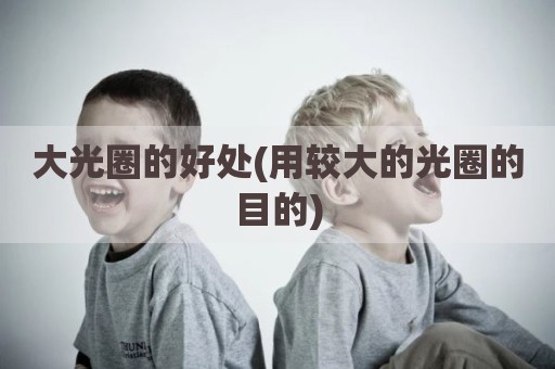 大光圈的好处(用较大的光圈的目的)
