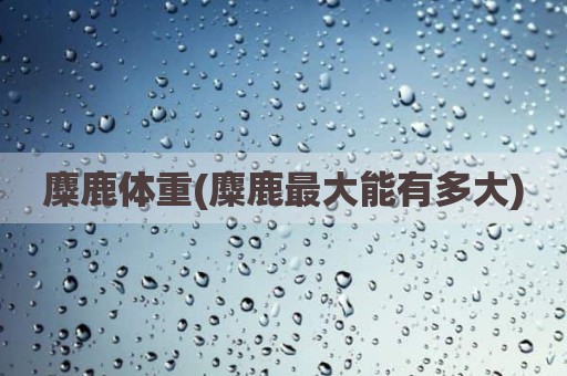 麋鹿体重(麋鹿最大能有多大)