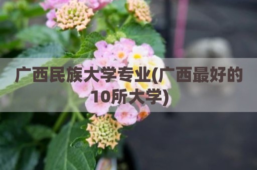 广西民族大学专业(广西最好的10所大学)