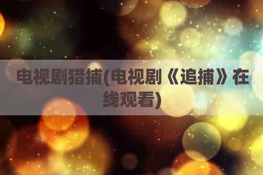 电视剧猎捕(电视剧《追捕》在线观看)