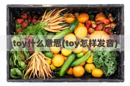 toy什么意思(toy怎样发音)
