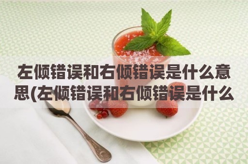 左倾错误和右倾错误是什么意思(左倾错误和右倾错误是什么意思)