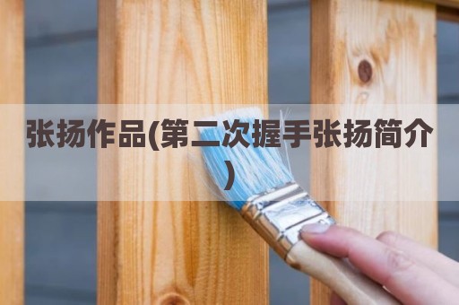 张扬作品(第二次握手张扬简介)
