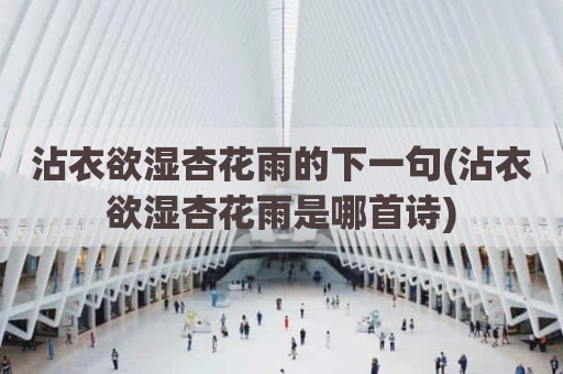 沾衣欲湿杏花雨的下一句(沾衣欲湿杏花雨是哪首诗)