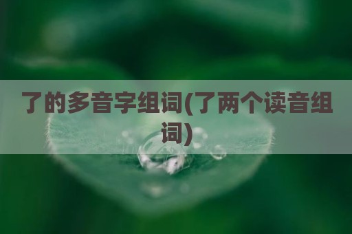 了的多音字组词(了两个读音组词)