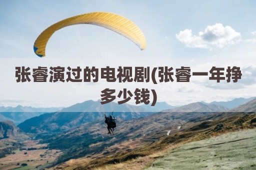 张睿演过的电视剧(张睿一年挣多少钱)