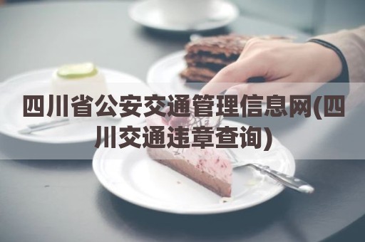 四川省公安交通管理信息网(四川交通违章查询)