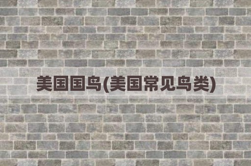 美国国鸟(美国常见鸟类)