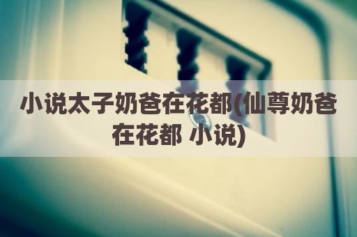 小说太子奶爸在花都(仙尊奶爸在花都 小说)
