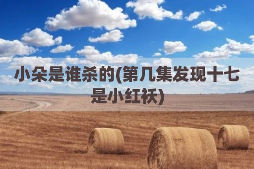 小朵是谁杀的(第几集发现十七是小红袄)