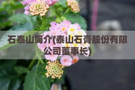 石泰山简介(泰山石膏股份有限公司董事长)