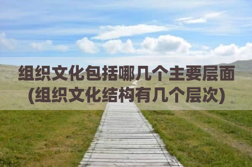 组织文化包括哪几个主要层面(组织文化结构有几个层次)