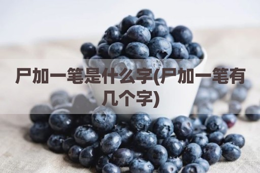 尸加一笔是什么字(尸加一笔有几个字)