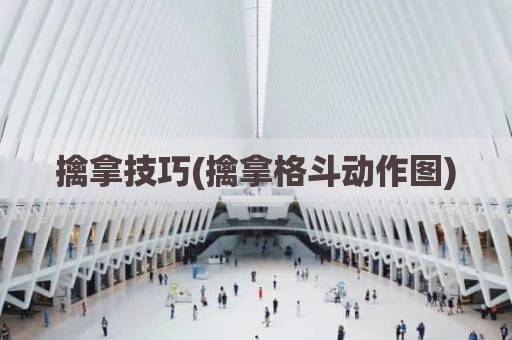 擒拿技巧(擒拿格斗动作图)