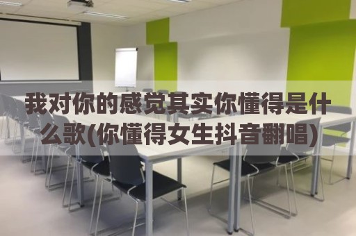 我对你的感觉其实你懂得是什么歌(你懂得女生抖音翻唱)