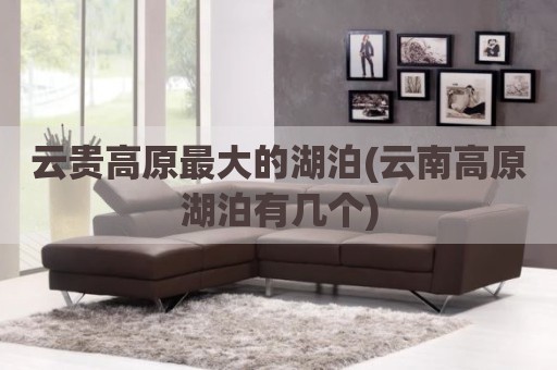 云贵高原最大的湖泊(云南高原湖泊有几个)