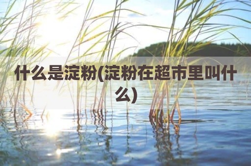 什么是淀粉(淀粉在超市里叫什么)