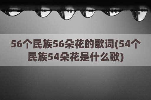 56个民族56朵花的歌词(54个民族54朵花是什么歌)