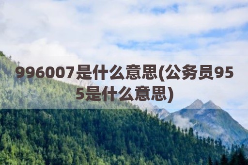 996007是什么意思(公务员955是什么意思)