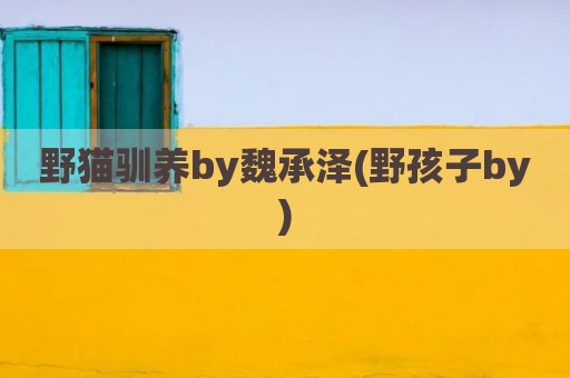 野猫驯养by魏承泽(野孩子by)