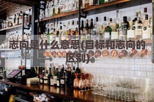 志向是什么意思(目标和志向的区别)
