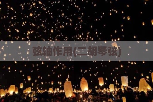 弦轴作用(二胡琴弦)