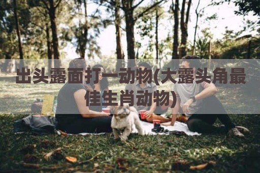 出头露面打一动物(大露头角最佳生肖动物)